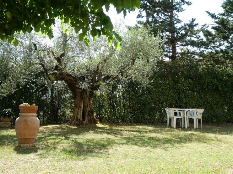 Casa Giuliana Lägenhet Chiusi Exteriör bild